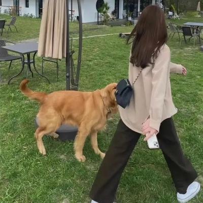 借王